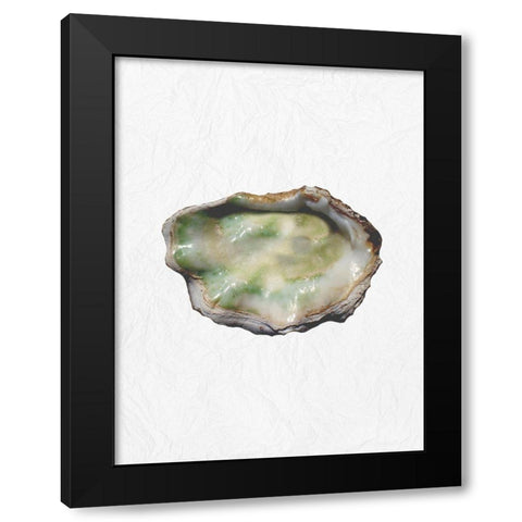 Oyster Shell 2 Black Modern Wood Framed Art Print with Double Matting by Phillip, Jamie