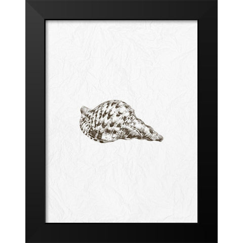 Shell 1 Black Modern Wood Framed Art Print by Phillip, Jamie