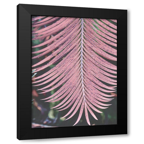 Tropical Palm 1 Black Modern Wood Framed Art Print by Phillip, Jamie