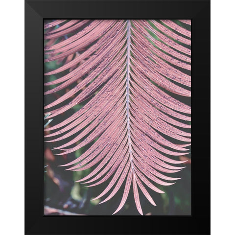 Tropical Palm 1 Black Modern Wood Framed Art Print by Phillip, Jamie