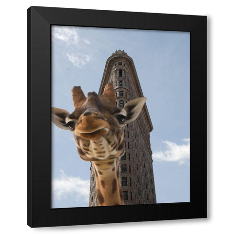 Way Over 1 Black Modern Wood Framed Art Print with Double Matting by Phillip, Jamie