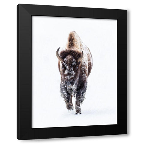 Journey Black Modern Wood Framed Art Print by Phillip, Jamie