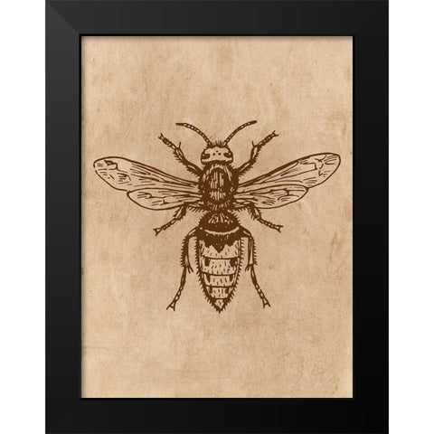 Specimen 1 Black Modern Wood Framed Art Print by Phillip, Jamie