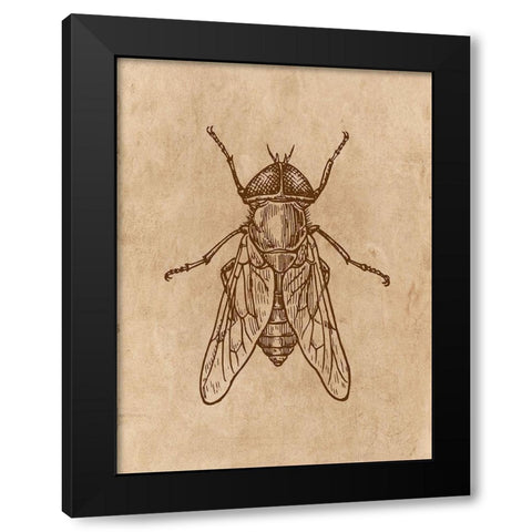 Specimen 2 Black Modern Wood Framed Art Print with Double Matting by Phillip, Jamie
