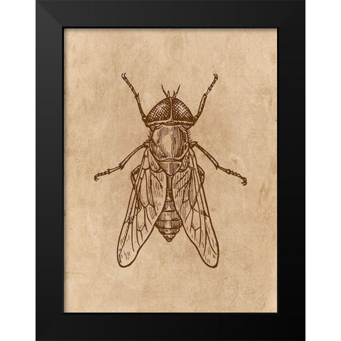 Specimen 2 Black Modern Wood Framed Art Print by Phillip, Jamie
