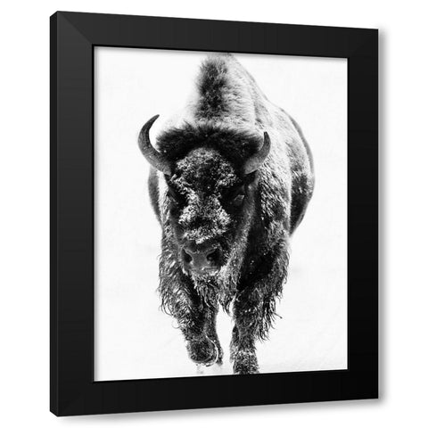Snow Motion 3 Black Modern Wood Framed Art Print with Double Matting by Phillip, Jamie
