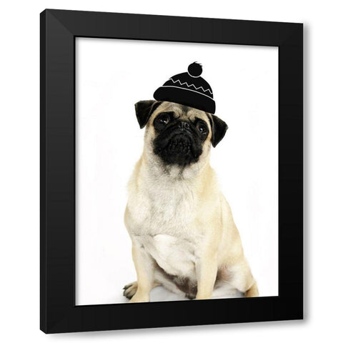 Cute Dog Black Modern Wood Framed Art Print with Double Matting by Phillip, Jamie