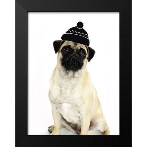 Cute Dog Black Modern Wood Framed Art Print by Phillip, Jamie