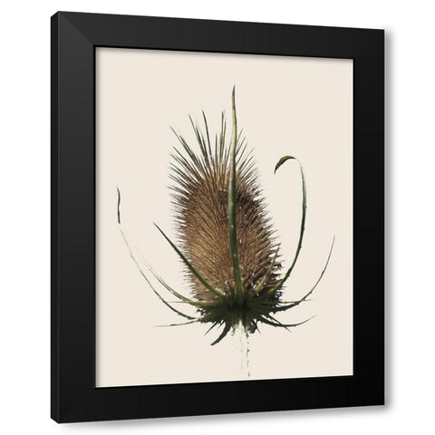 Caliveni 1 Black Modern Wood Framed Art Print by Phillip, Jamie