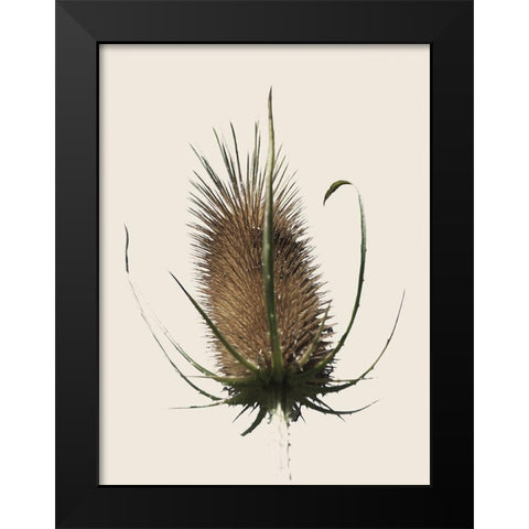 Caliveni 1 Black Modern Wood Framed Art Print by Phillip, Jamie