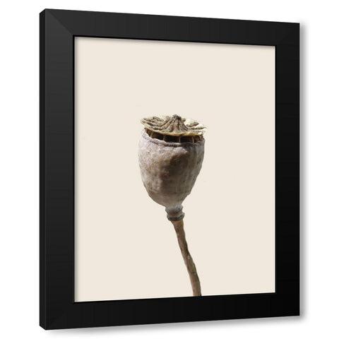 CalIveni 2 Black Modern Wood Framed Art Print by Phillip, Jamie