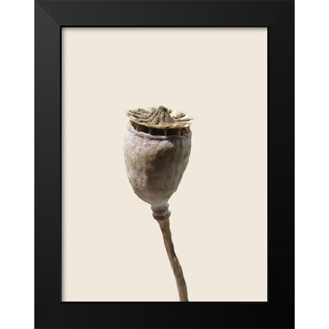 CalIveni 2 Black Modern Wood Framed Art Print by Phillip, Jamie