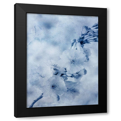Blue Watercolor Flower Black Modern Wood Framed Art Print by Phillip, Jamie