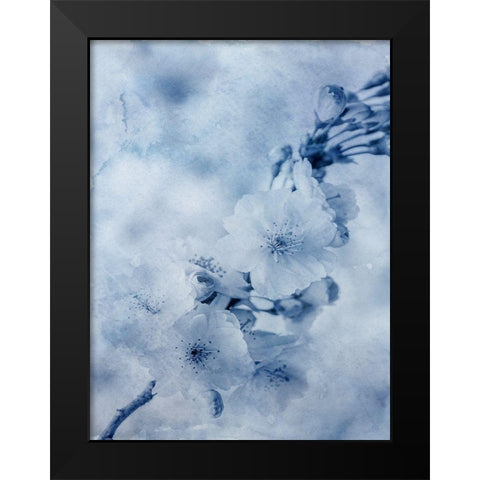 Blue Watercolor Flower Black Modern Wood Framed Art Print by Phillip, Jamie