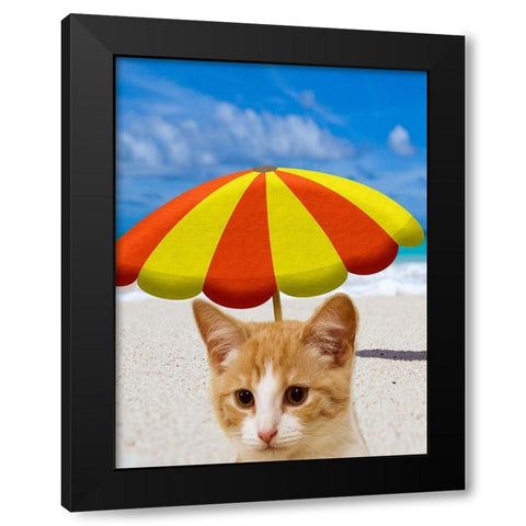 Beach Cat Black Modern Wood Framed Art Print with Double Matting by Phillip, Jamie