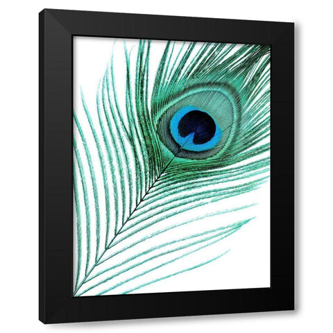Feather Black Modern Wood Framed Art Print with Double Matting by Phillip, Jamie