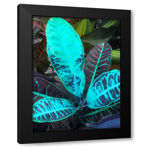 Tropical 1 Black Modern Wood Framed Art Print with Double Matting by Phillip, Jamie