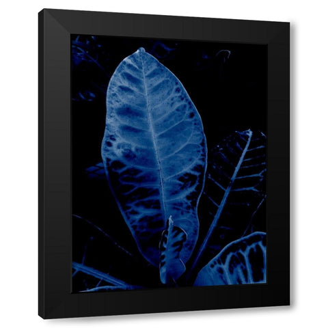 Tropical 2 Black Modern Wood Framed Art Print by Phillip, Jamie