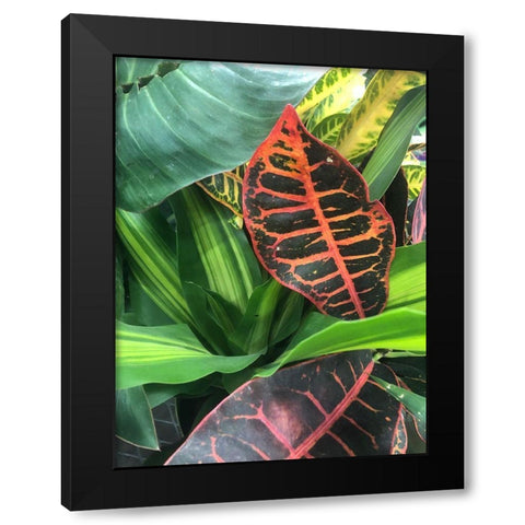 Tropical 4 Black Modern Wood Framed Art Print by Phillip, Jamie