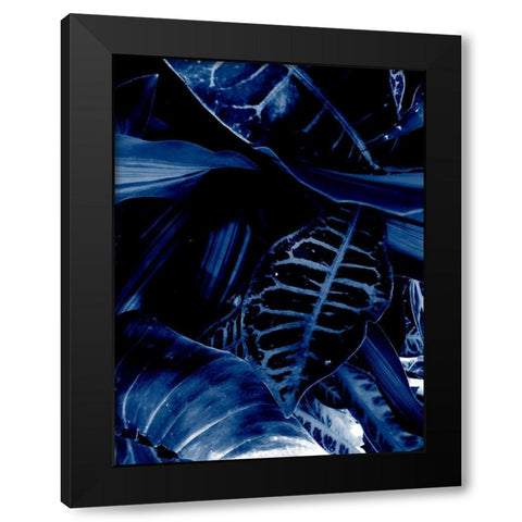 Tropical 5 Black Modern Wood Framed Art Print by Phillip, Jamie