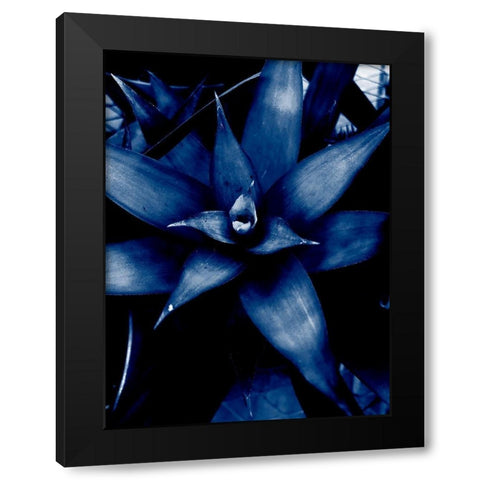 Tropical 6 Black Modern Wood Framed Art Print by Phillip, Jamie