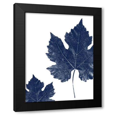 True Blue 2 Black Modern Wood Framed Art Print with Double Matting by Phillip, Jamie