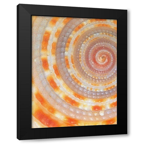 Wilks Black Modern Wood Framed Art Print with Double Matting by Phillip, Jamie