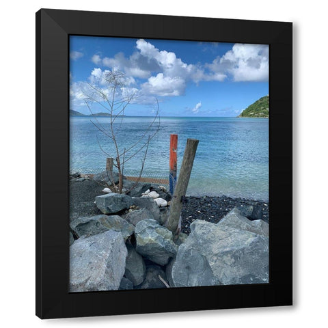 BVI 3 Black Modern Wood Framed Art Print with Double Matting by Phillip, Jamie