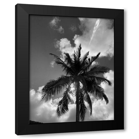 BVI 4 Black Modern Wood Framed Art Print with Double Matting by Phillip, Jamie