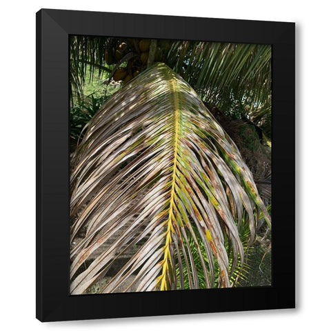 BVI 5 Black Modern Wood Framed Art Print with Double Matting by Phillip, Jamie