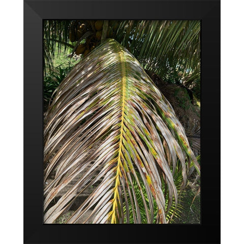 BVI 5 Black Modern Wood Framed Art Print by Phillip, Jamie