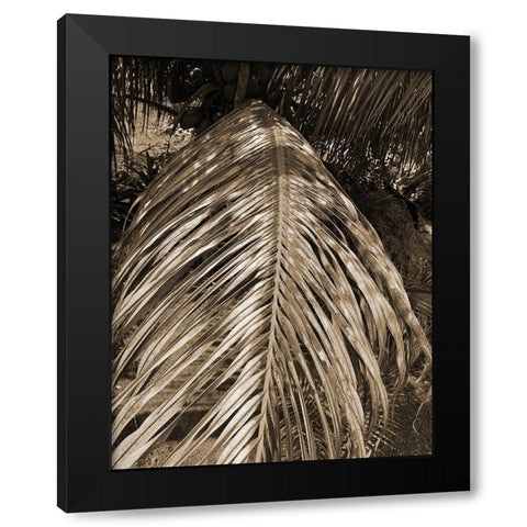 BVI 6 Black Modern Wood Framed Art Print with Double Matting by Phillip, Jamie