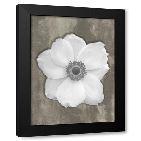 Pure White Flower Black Modern Wood Framed Art Print with Double Matting by Phillip, Jamie