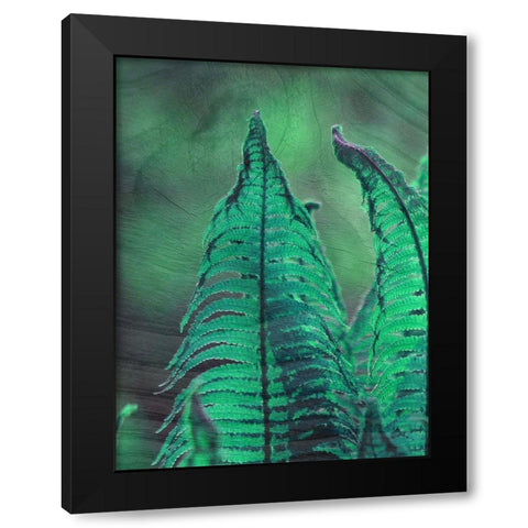 Grove 1 Black Modern Wood Framed Art Print with Double Matting by Phillip, Jamie