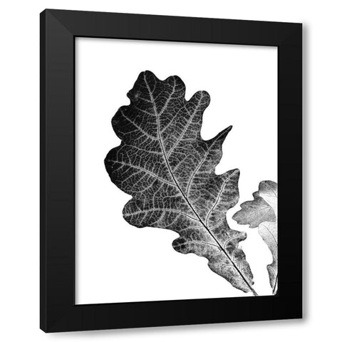 Shaded Leaf 2 Black Modern Wood Framed Art Print with Double Matting by Phillip, Jamie