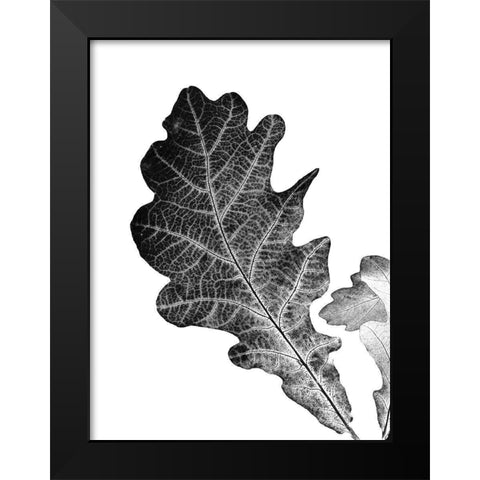 Shaded Leaf 2 Black Modern Wood Framed Art Print by Phillip, Jamie