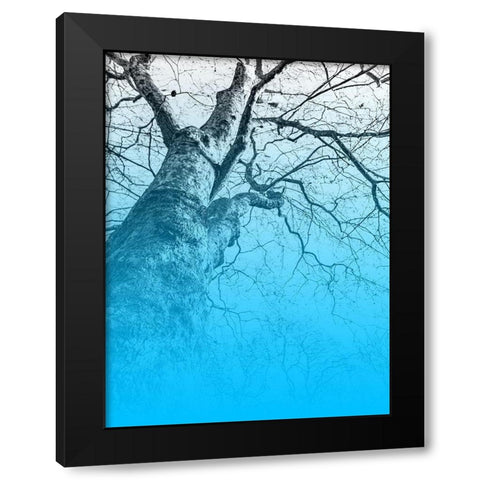 Blue Sky Black Modern Wood Framed Art Print by Phillip, Jamie