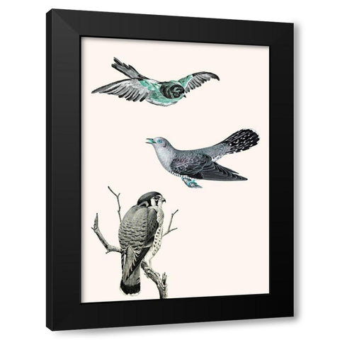 Birds 1 Black Modern Wood Framed Art Print by Phillip, Jamie