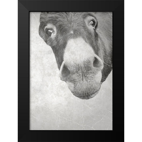 Farm Donkey Black Modern Wood Framed Art Print by Phillip, Jamie