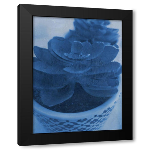 Succulent Plant 1 Black Modern Wood Framed Art Print by Phillip, Jamie