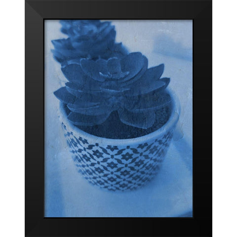 Succulent Plant 2 Black Modern Wood Framed Art Print by Phillip, Jamie