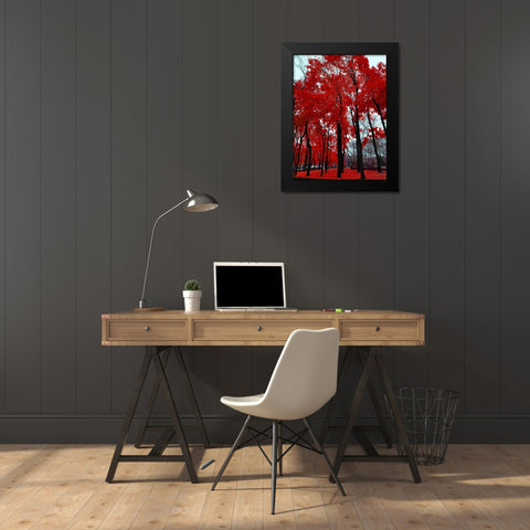 Silent Nature 4 Black Modern Wood Framed Art Print by Phillip, Jamie