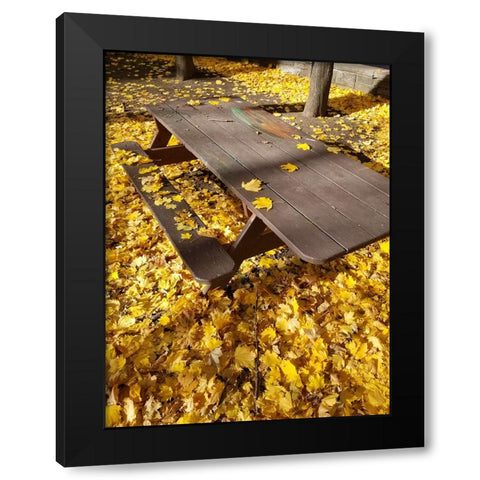 Silent Nature 6 Black Modern Wood Framed Art Print by Phillip, Jamie