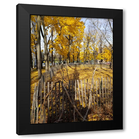 Silent Nature 8 Black Modern Wood Framed Art Print by Phillip, Jamie