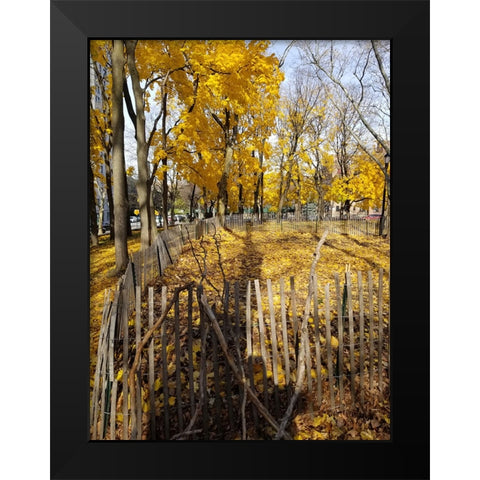 Silent Nature 8 Black Modern Wood Framed Art Print by Phillip, Jamie