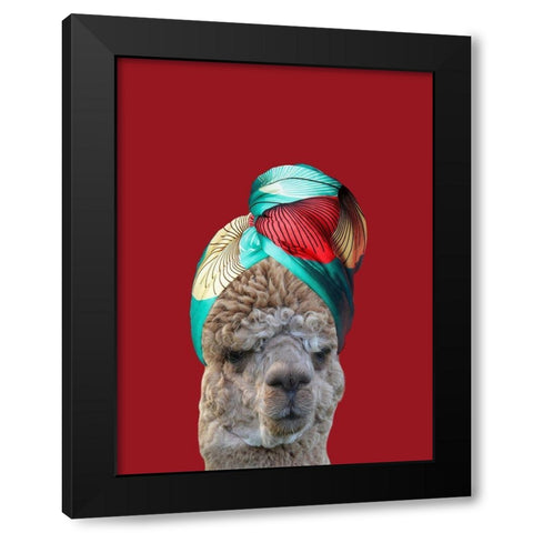 Beauty Llama Black Modern Wood Framed Art Print with Double Matting by Phillip, Jamie