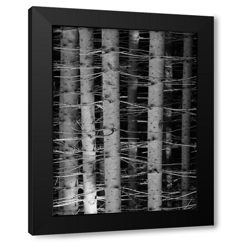 Dark Woods Black Modern Wood Framed Art Print with Double Matting by Phillip, Jamie