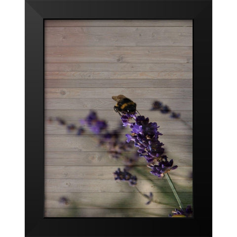 Lavender Dream Black Modern Wood Framed Art Print by Phillip, Jamie