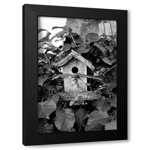 Bird House Black Modern Wood Framed Art Print with Double Matting by Phillip, Jamie