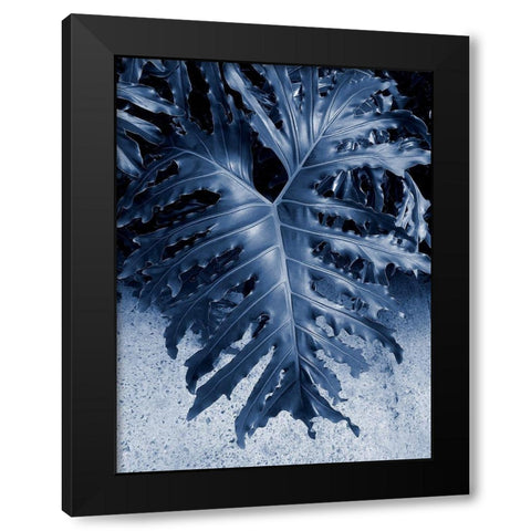 Garden Black Modern Wood Framed Art Print by Phillip, Jamie
